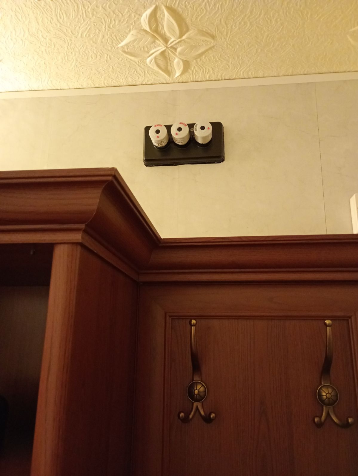 Trzy bezpieczniki topikowe zamontowane na czarnej listwie na ścianie, widoczne nad drewnianą szafką z wieszakami w pomieszczeniu z dekoracyjnym sufitem.