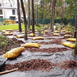 Trawa z rolki Mysłowice 3