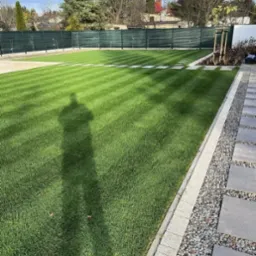 Świeżo skoszony trawnik z wyraźnymi pasami, obrzeżem z kostki i kamieniami ozdobnymi, cień osoby fotografującej widoczny na trawie.