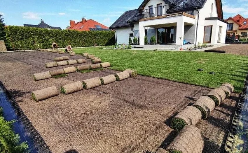 Rozwinięte i nierozwinięte rolki darni na przygotowanym podłożu, w tle dom z balkonem i zielony żywopłot.