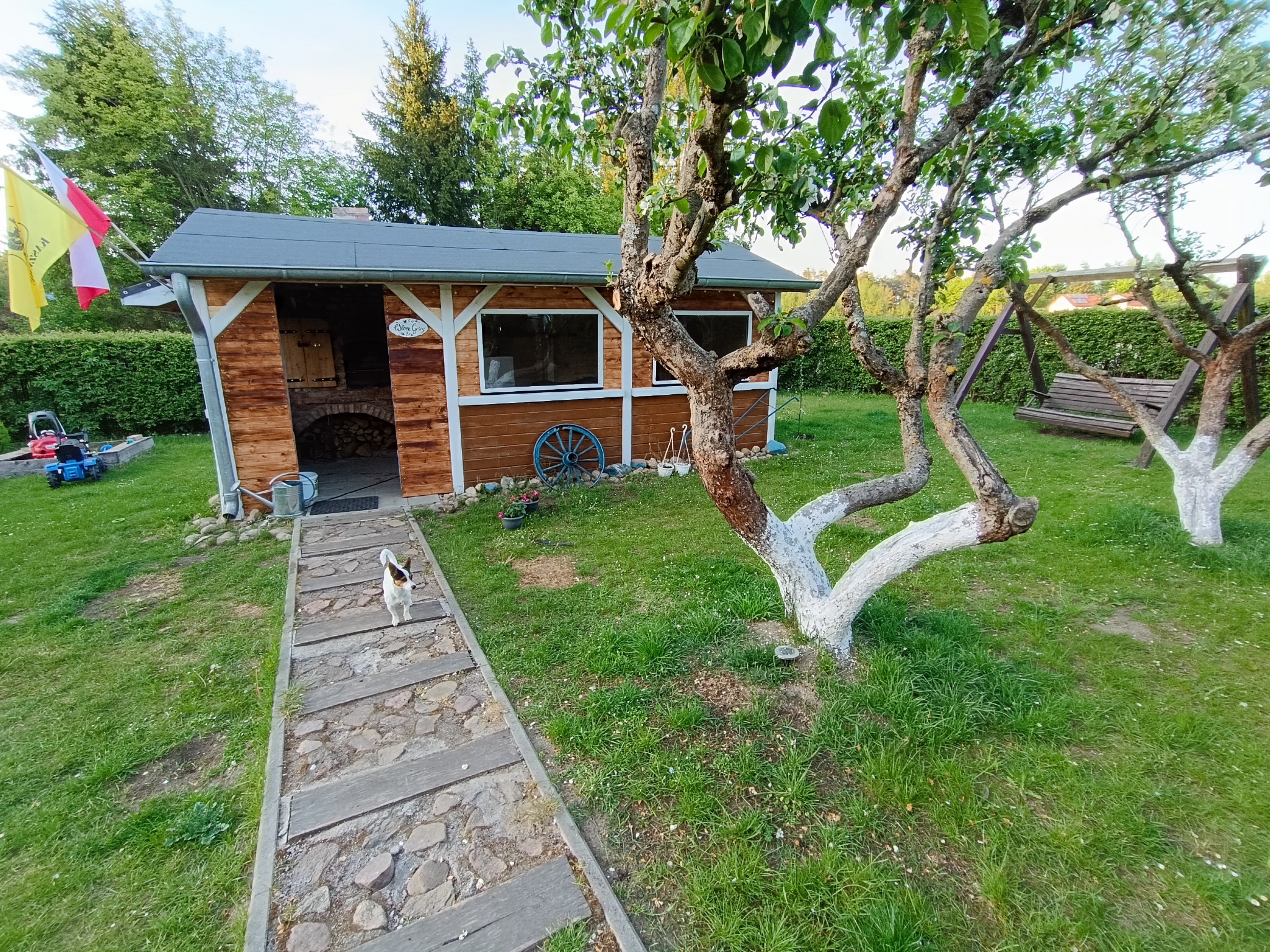 Drewniana altana z szarym dachem, widoczna z perspektywy ścieżki z kamiennych płyt i drewnianych desek, na której stoi pies rasy Jack Russell Terrier. W tle drzewa, huśtawka i flagi.