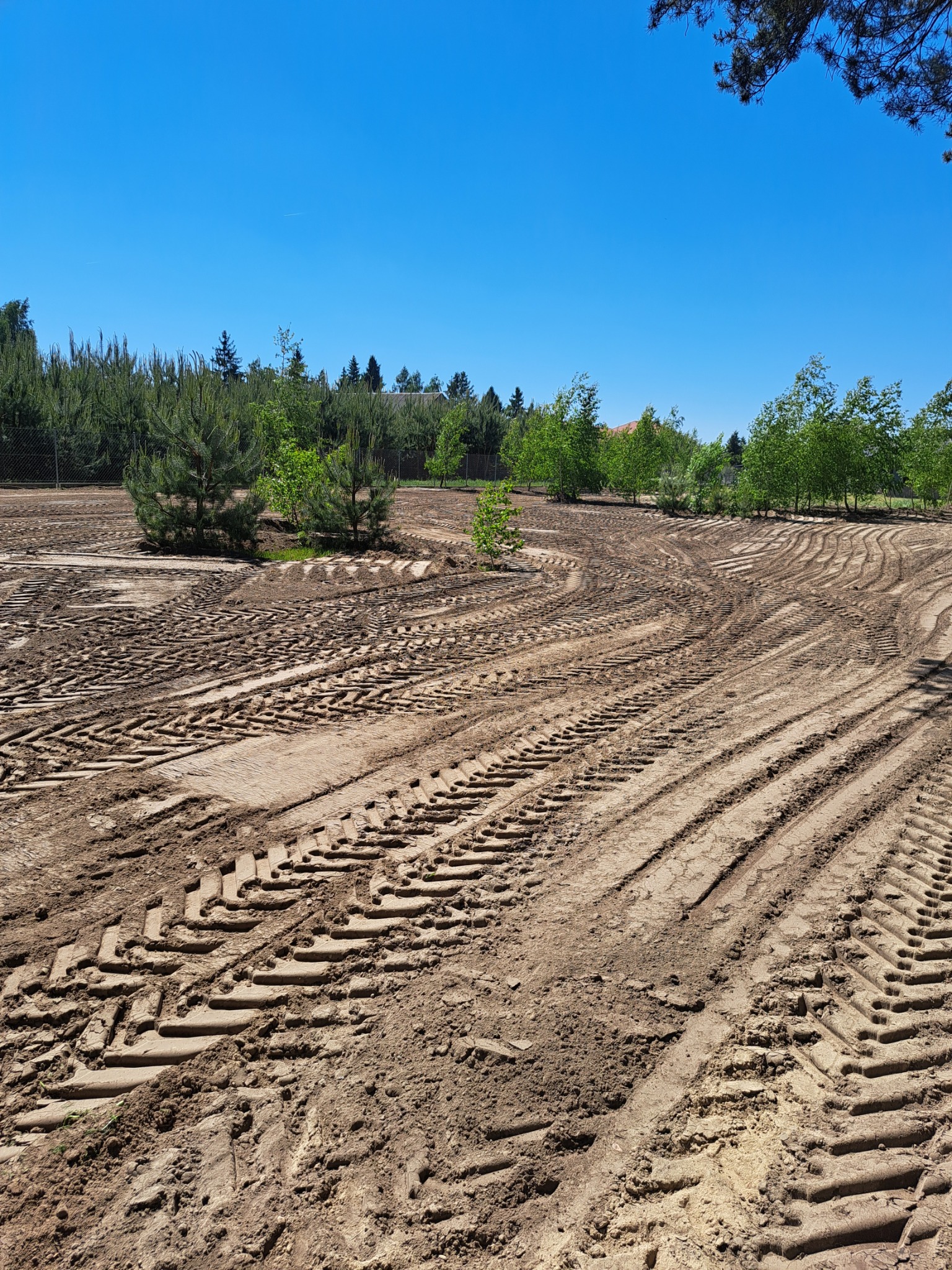 Przygotowany teren pod budowę z widocznymi śladami opon ciężkiego sprzętu, w tle młode drzewa i błękitne niebo.