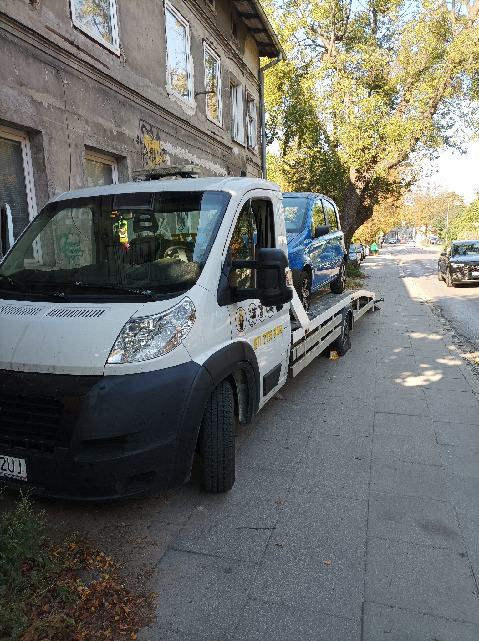 Biały pojazd transportowy z niebieskim samochodem osobowym na platformie, zaparkowany na chodniku przy ulicy z drzewami i budynkiem z graffiti.