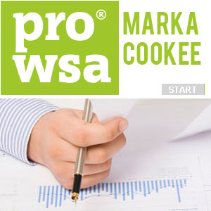 pozycjonowanie stron internetowych