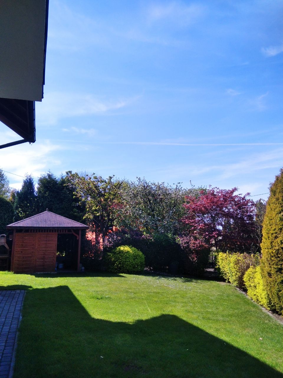 Zadbany ogród z równo przystrzyżonym trawnikiem, drewnianą altaną z grillem i różnorodnymi drzewami oraz krzewami w słoneczny dzień.