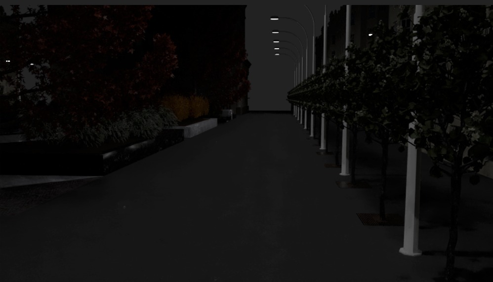 Nocny widok na aleję z równo posadzonymi drzewami, oświetloną przez szereg lamp ulicznych, z rabatami kwiatowymi wzdłuż chodnika.