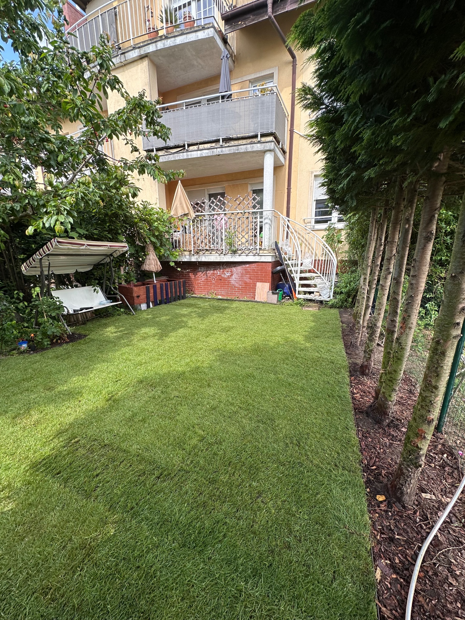 Świeżo ułożony trawnik z rolki w przydomowym ogrodzie, widok na budynek z balkonami, huśtawka ogrodowa i rząd drzew iglastych wzdłuż ogrodzenia.