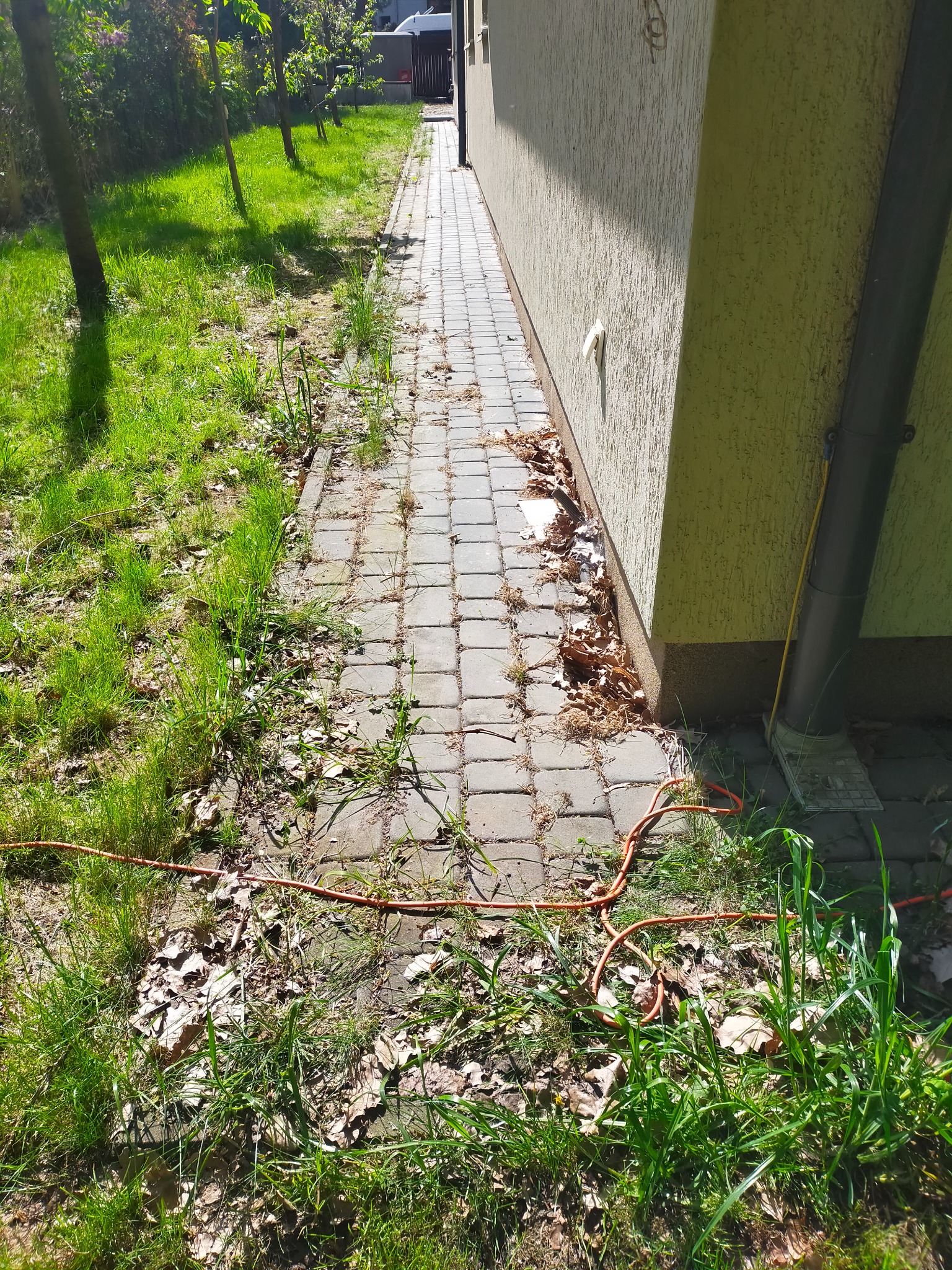 Szara kostka brukowa biegnąca wzdłuż ściany budynku, częściowo pokryta liśćmi i trawą, z widocznym pomarańczowym przedłużaczem na trawie.