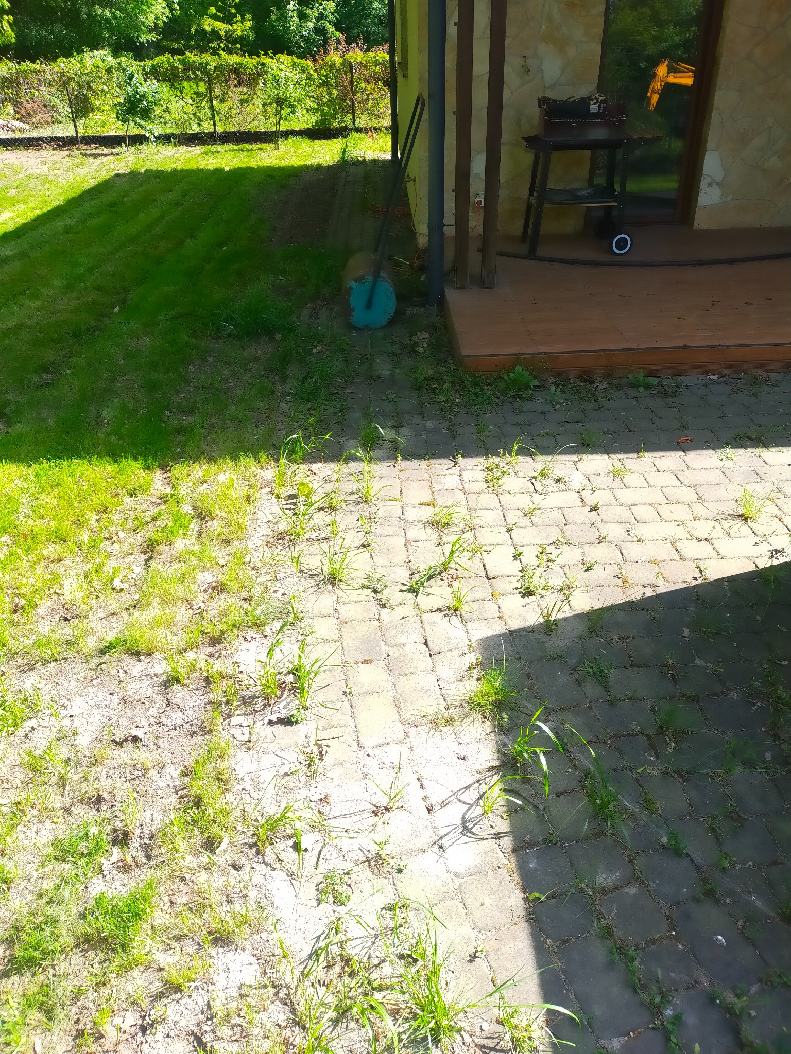 Fragment posesji z kostką brukową częściowo porośniętą chwastami, widoczny trawnik po koszeniu oraz narzędzie ogrodnicze w postaci walca do trawy.