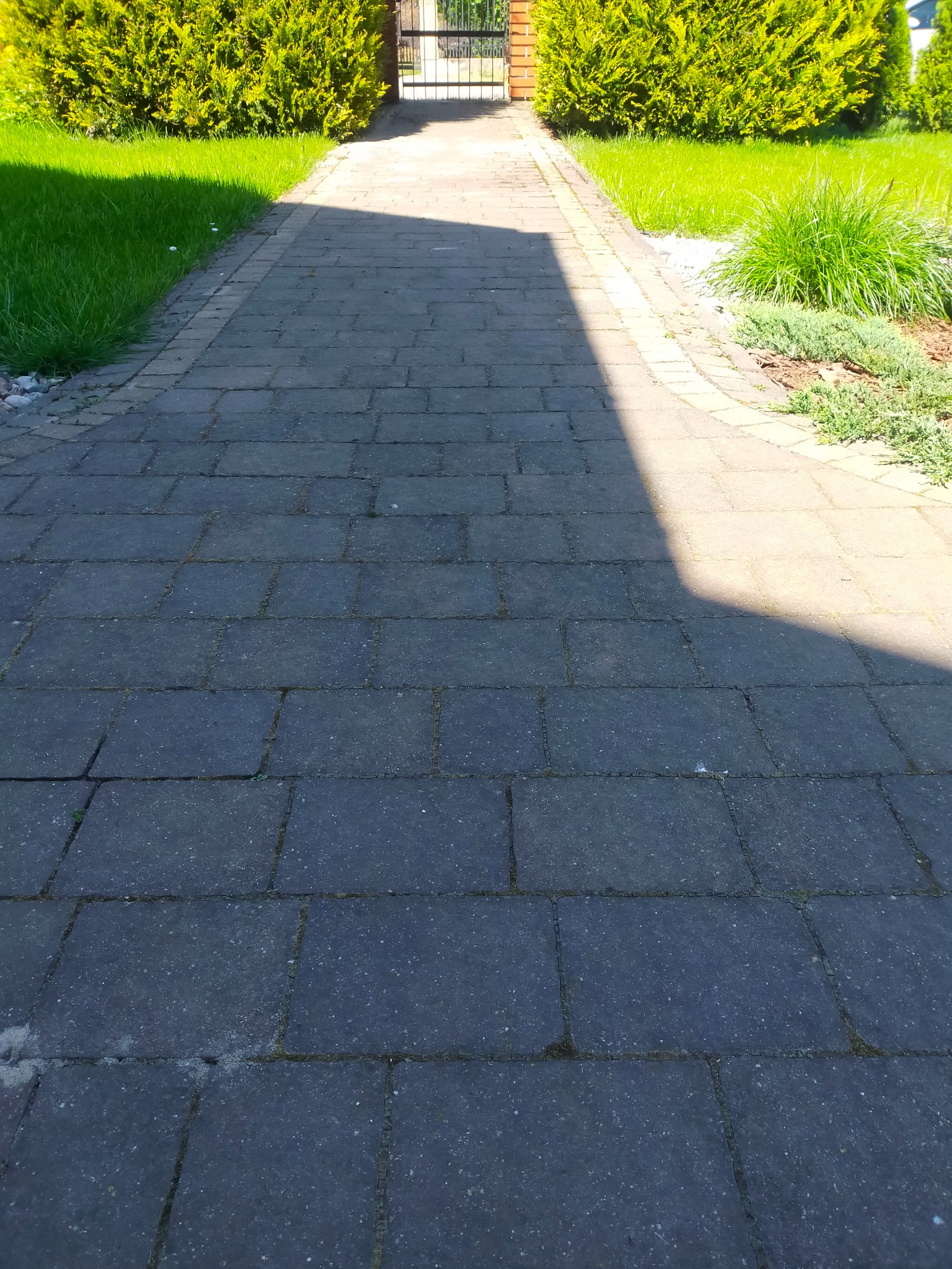 Szara kostka brukowa prowadząca do furtki, otoczona zielonym trawnikiem i krzewami, część kostki w cieniu.