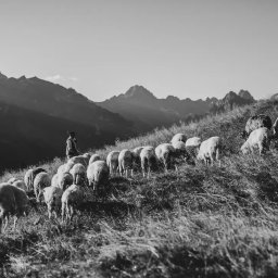 Fotograf ślubny Myślenice 4