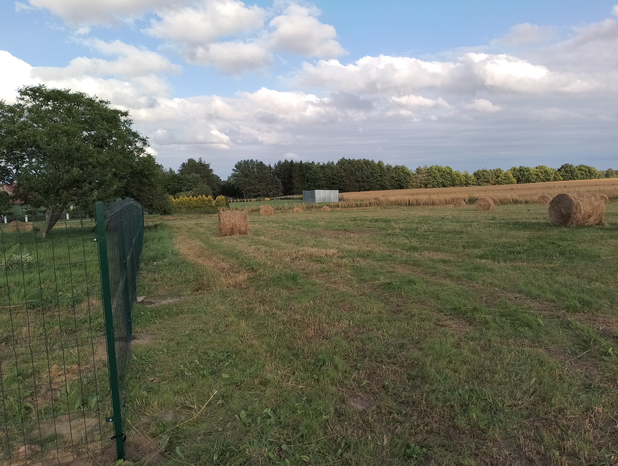 Zielone ogrodzenie panelowe na tle pola ze słomianymi balotami i drzewami pod pochmurnym niebem.