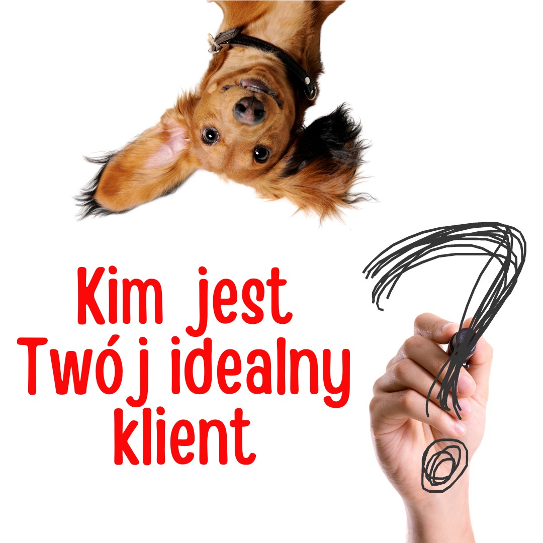 Odwrócony jamnik z pytaniem 'Kim jest Twój idealny klient?' napisanym czerwonymi literami i ręcznie narysowanym znakiem zapytania.