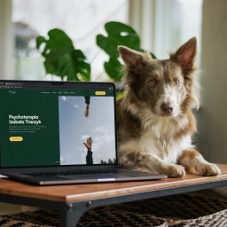 Buzz Makers Digital Marketing Sonia Sokół - Laptop wyświetlający stronę internetową psychoterapeuty Izabeli Traczyk, obok siedzi pies rasy border collie o brązowo-białym umaszczeniu, w tle widoczna roślina doniczkowa.