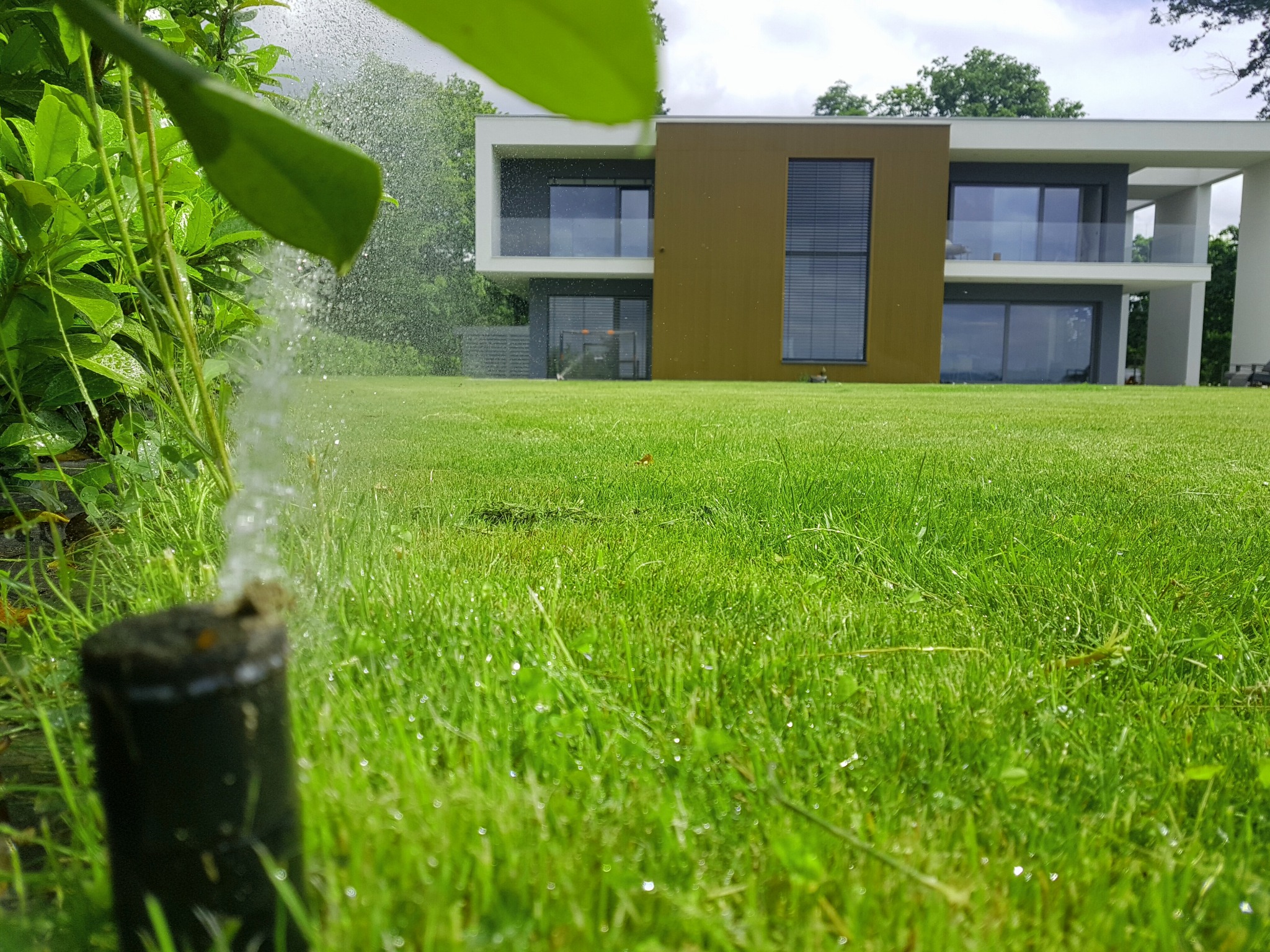 Automatyczny system nawadniania trawnika w nowoczesnym ogrodzie z minimalistycznym domem w tle, zraszacz w akcji.