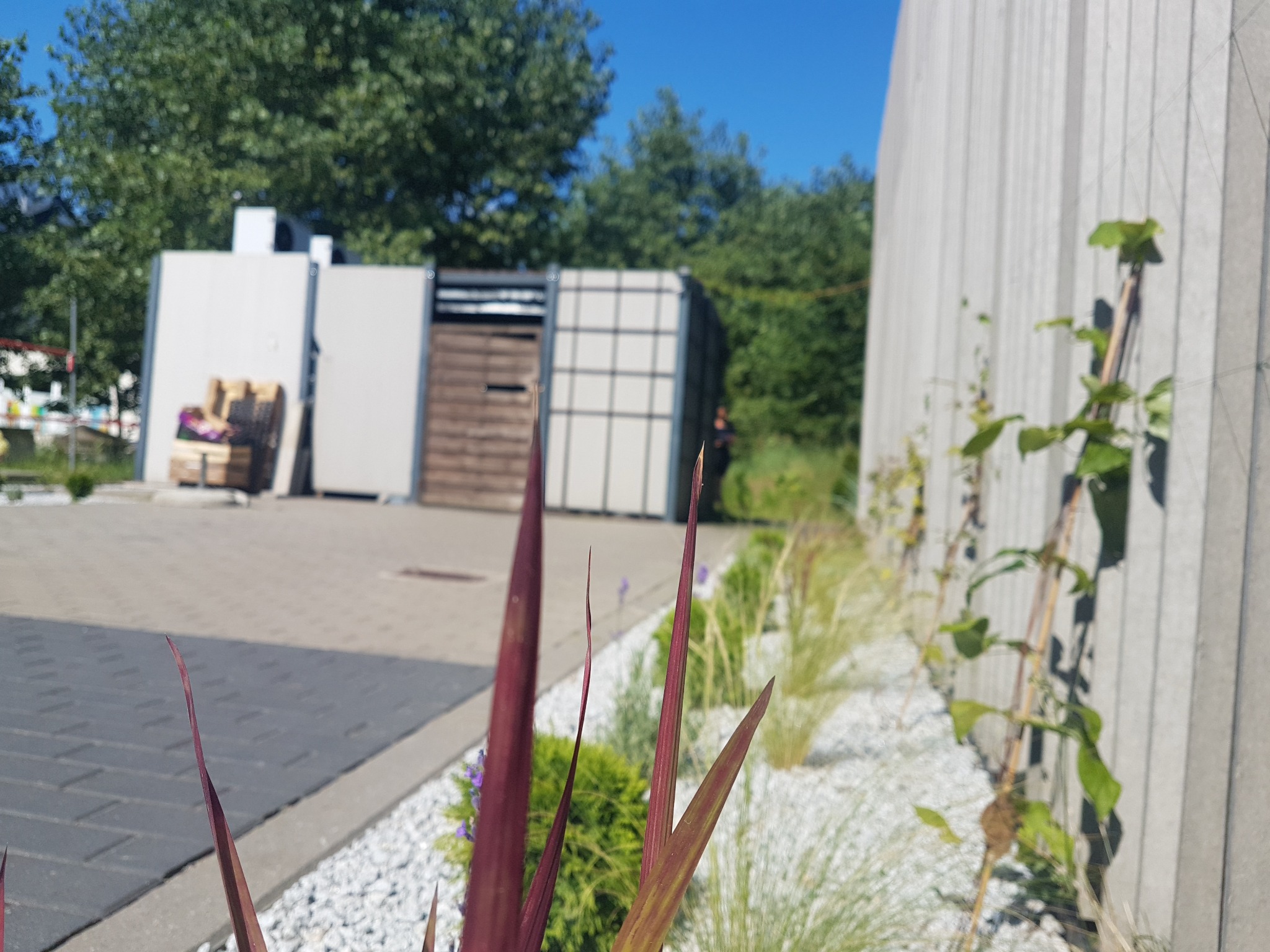 Rabata z ozdobnymi trawami i krzewami na tle betonowego ogrodzenia i kostki brukowej