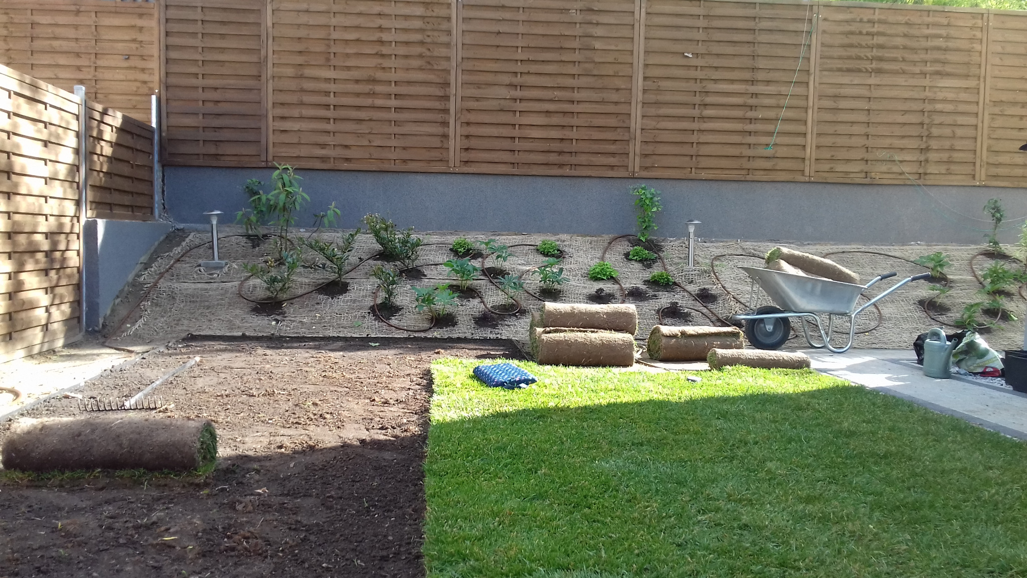 Fragment ogrodu z fragmentem ułożonej trawy z rolki, przygotowanym podłożem i roślinami na zboczu z systemem nawadniania, taczka z rolkami trawy, drewniany płot w tle.