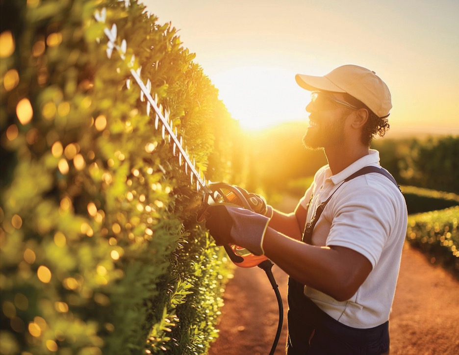 Uśmiechnięty mężczyzna w roboczych ubraniach, z profilu, przycina żywopłot elektrycznymi nożycami na tle zachodzącego słońca.
