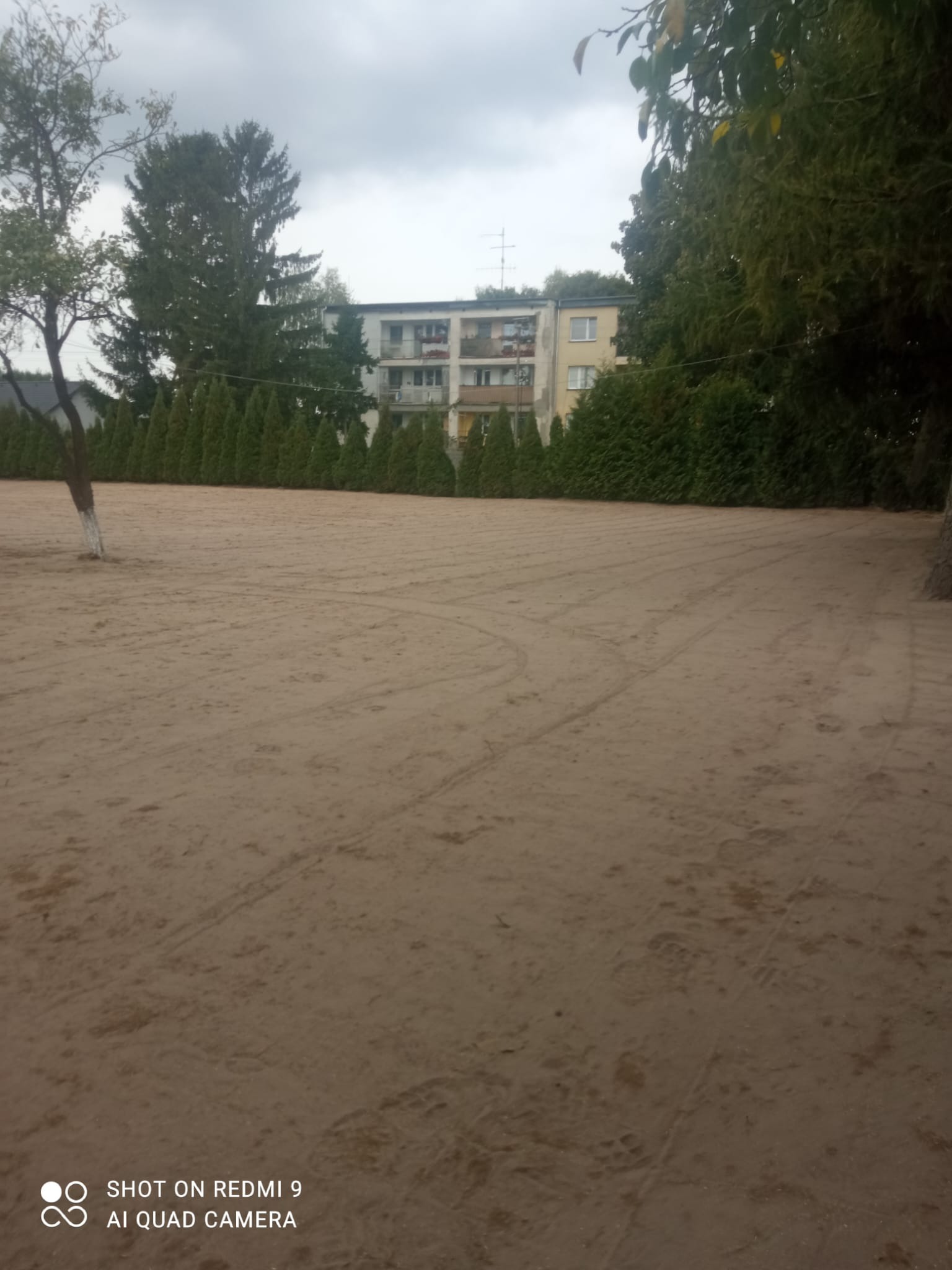 Przygotowany teren pod trawnik z widocznymi śladami po maszynach, w tle rząd tuj i budynek mieszkalny.