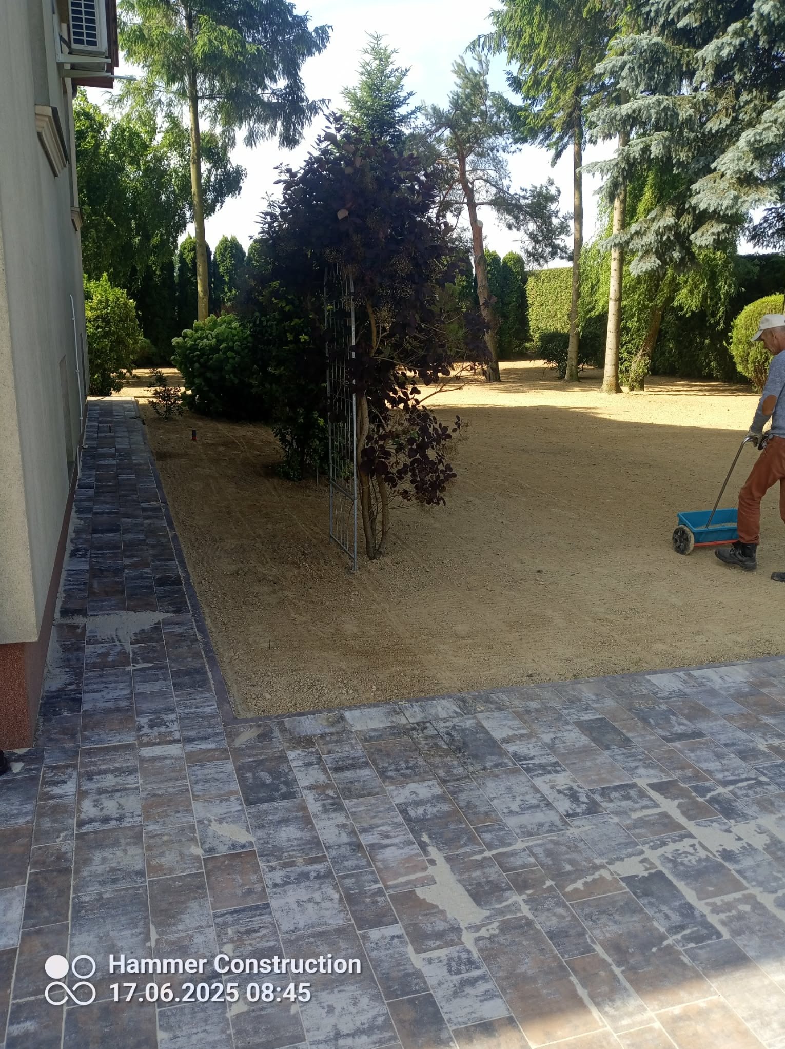 Przygotowany teren pod trawnik z rolki, widoczny fragment ułożonej kostki brukowej i osoba z wózkiem do siewu na tle zieleni ogrodowej w słoneczny dzień.