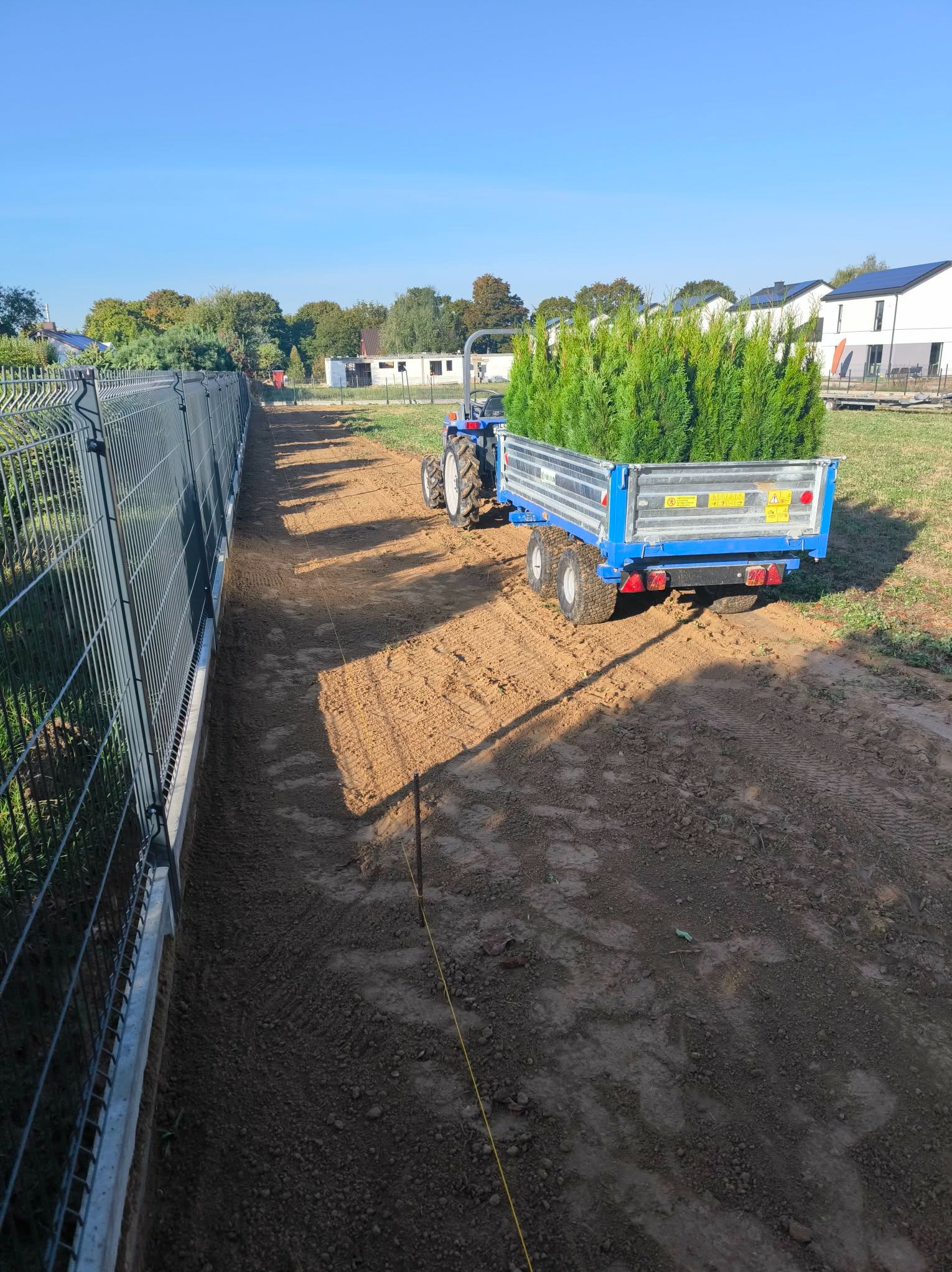 Ciągnik z przyczepą pełną sadzonek drzew iglastych na przygotowanym terenie wzdłuż ogrodzenia panelowego, gotowym do sadzenia. Słoneczny dzień.