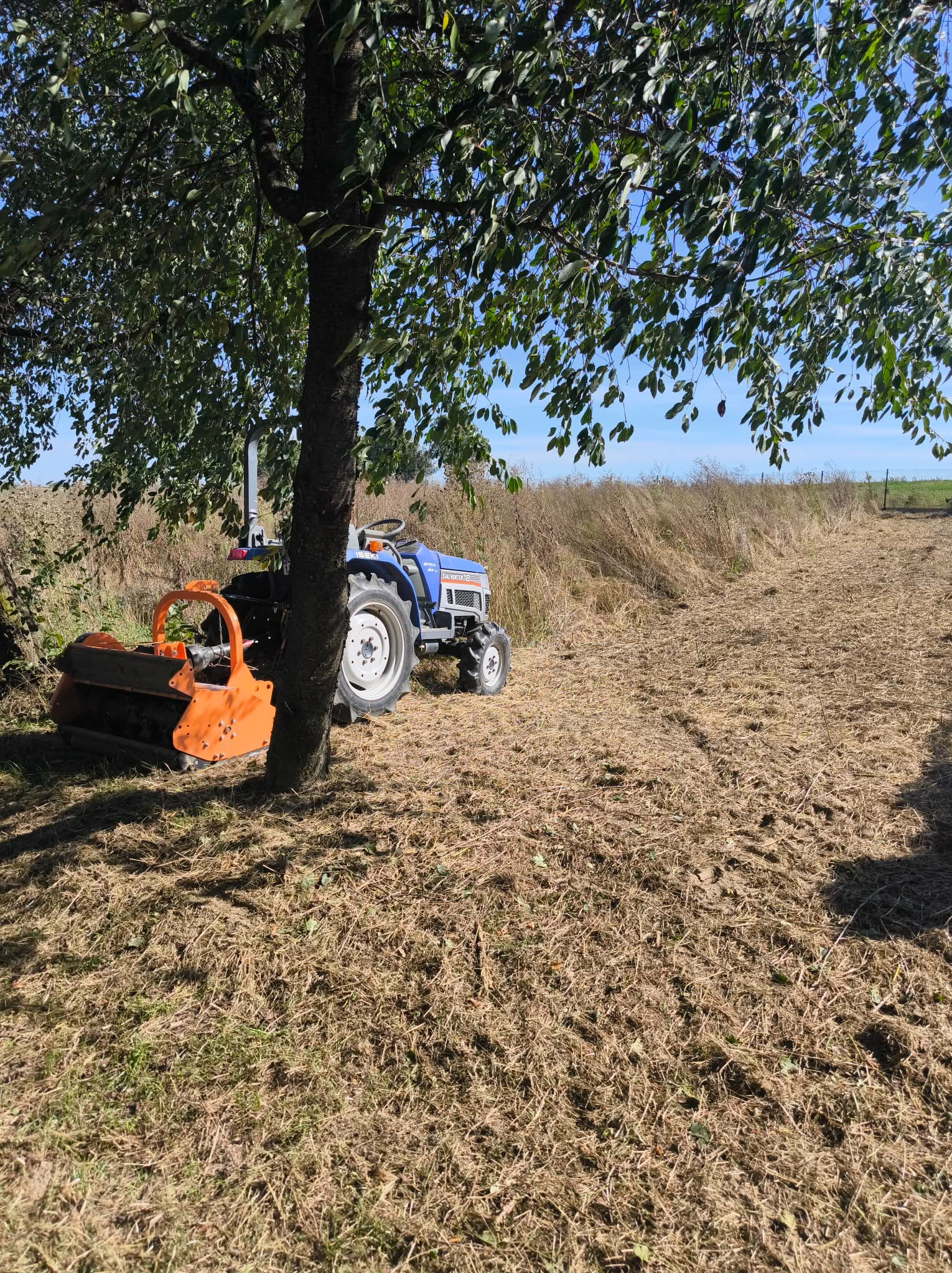 Niebieski traktor z pomarańczowym mulczerem pod drzewem na polu ze skoszoną trawą. Widok na pole po koszeniu, z fragmentami wysokiej trawy w tle.