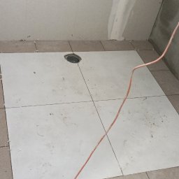 Glazurnik Żmigród 2