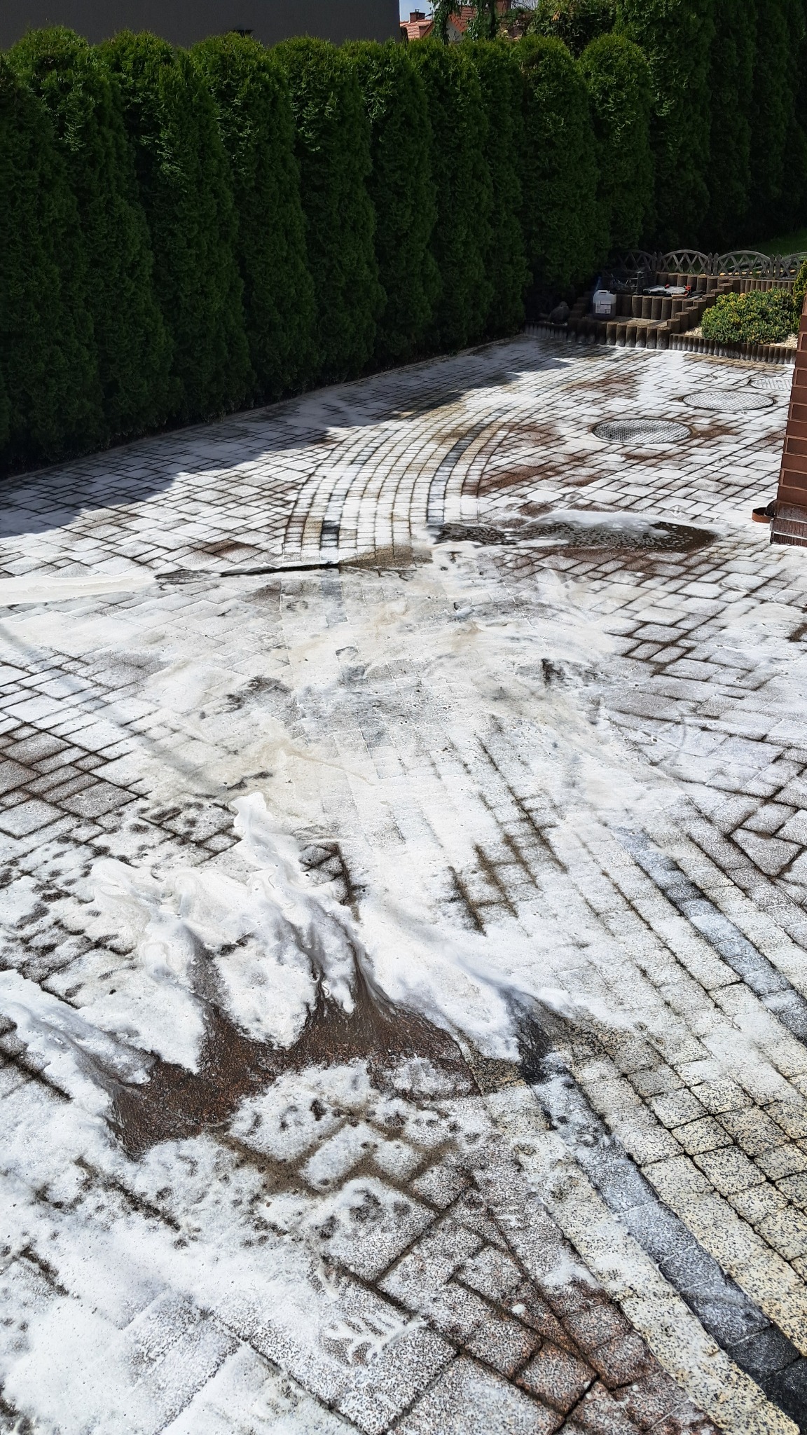 Kostka brukowa częściowo pokryta pianą i wodą, widoczne ślady czyszczenia, w tle rząd wysokich tuj.