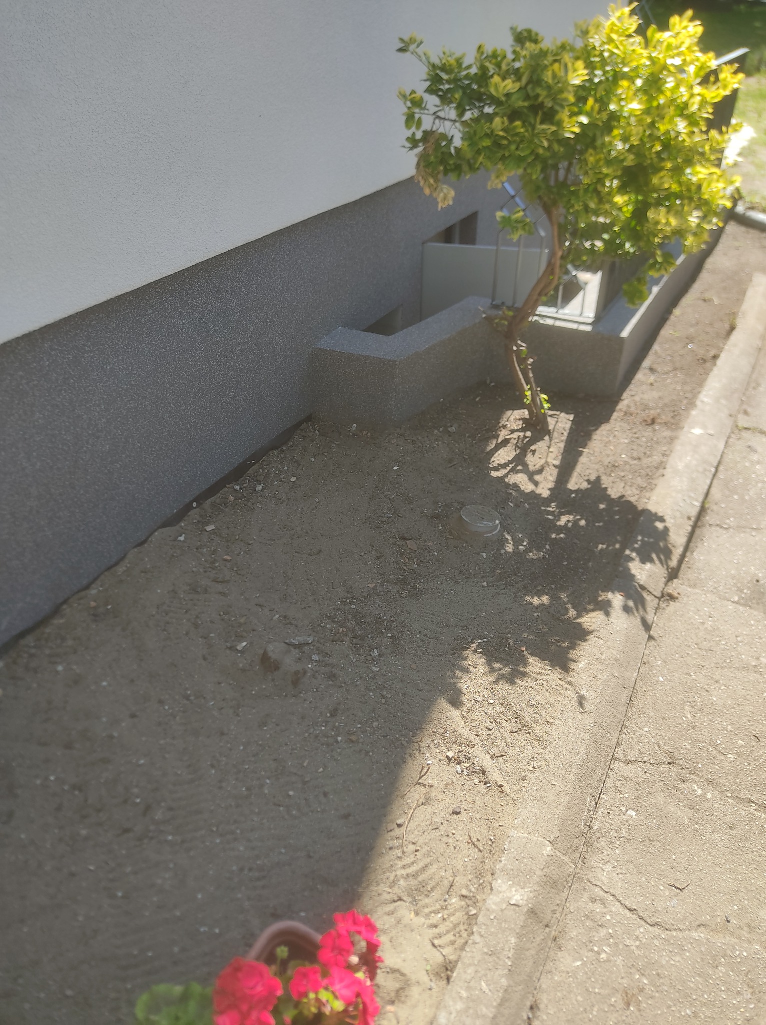 Ocieplona elewacja budynku z widocznym fragmentem fundamentu i posadzoną rośliną obok okna piwnicznego.