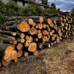 Drewno kominkowe Grzawa 3