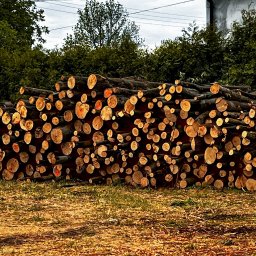 Drewno kominkowe Grzawa 4