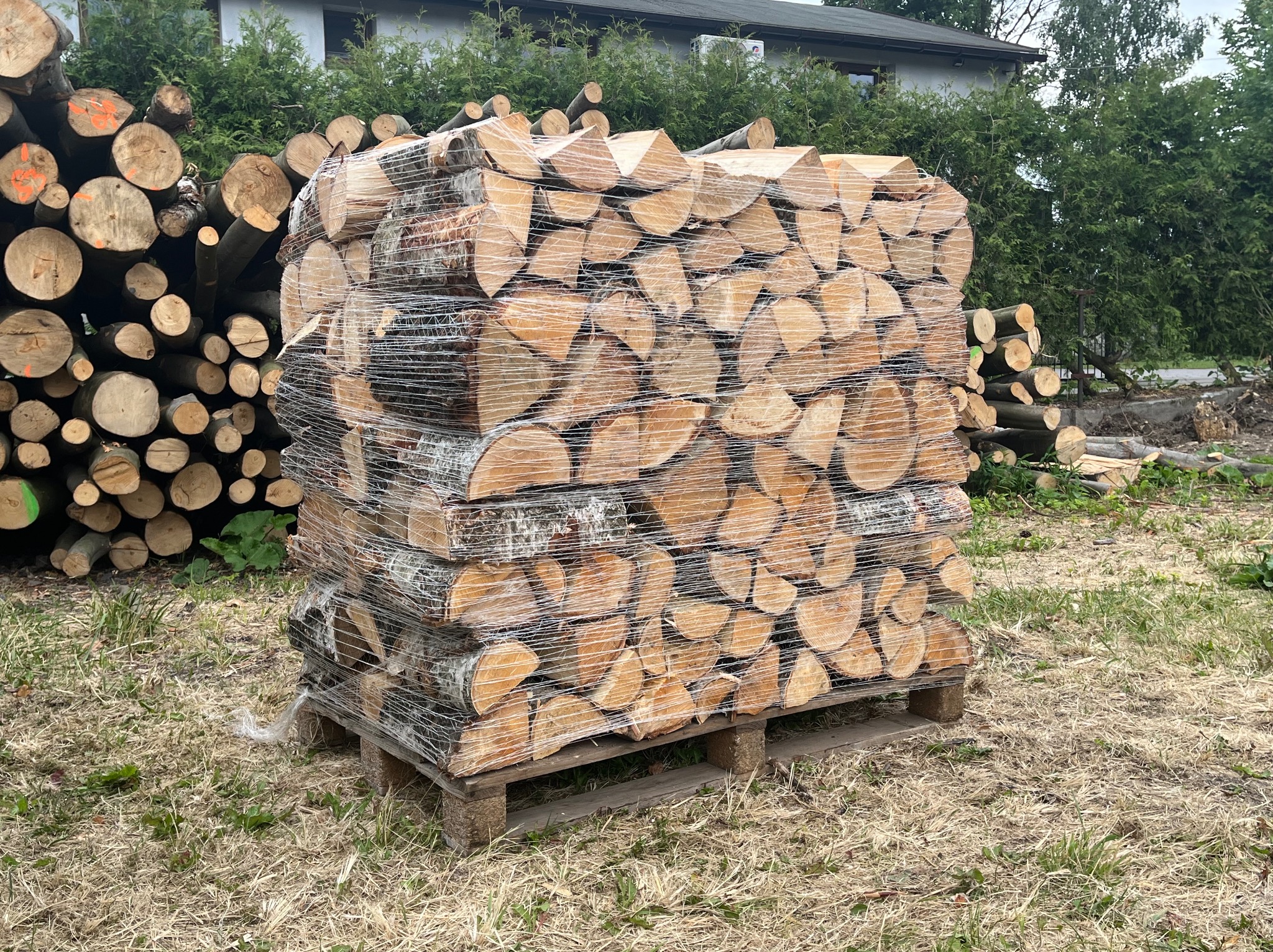 Ułożone na palecie, owinięte folią drewno z brzozową korą, przygotowane do transportu i składowania, w tle stosy pni drzew