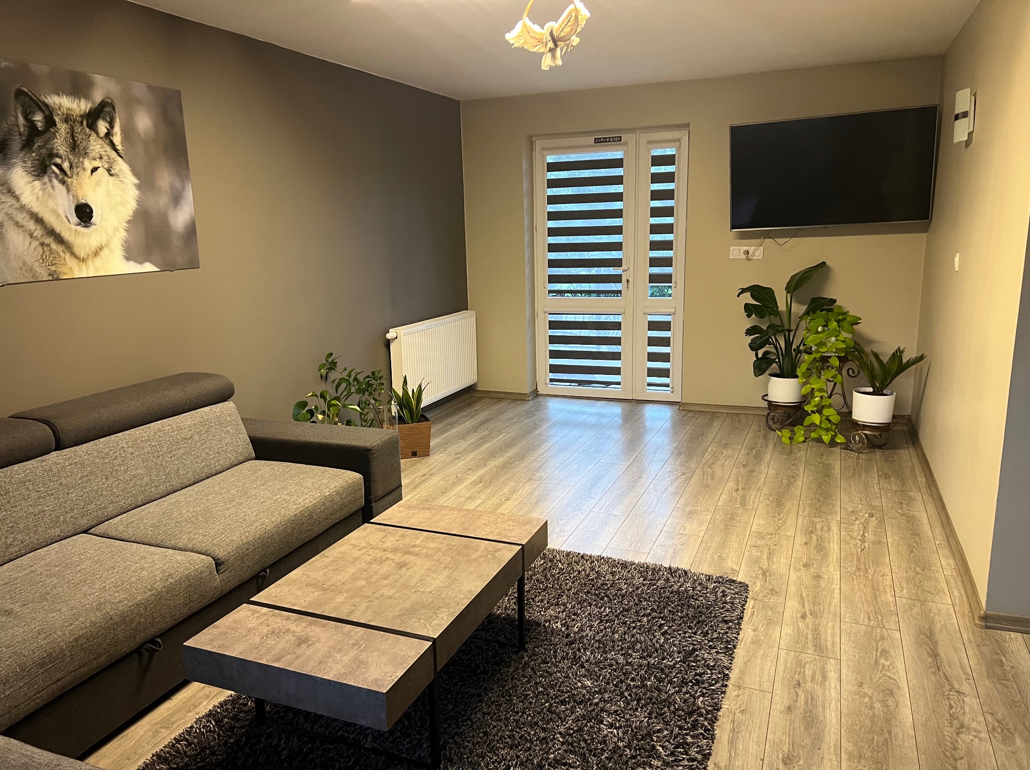 Jasne, przestronne wnętrze salonu z szarą sofą, stolikiem kawowym na włochatym dywanie, roślinami doniczkowymi, telewizorem na ścianie i obrazem wilka. Drewniana podłoga i żaluzje w oknach.