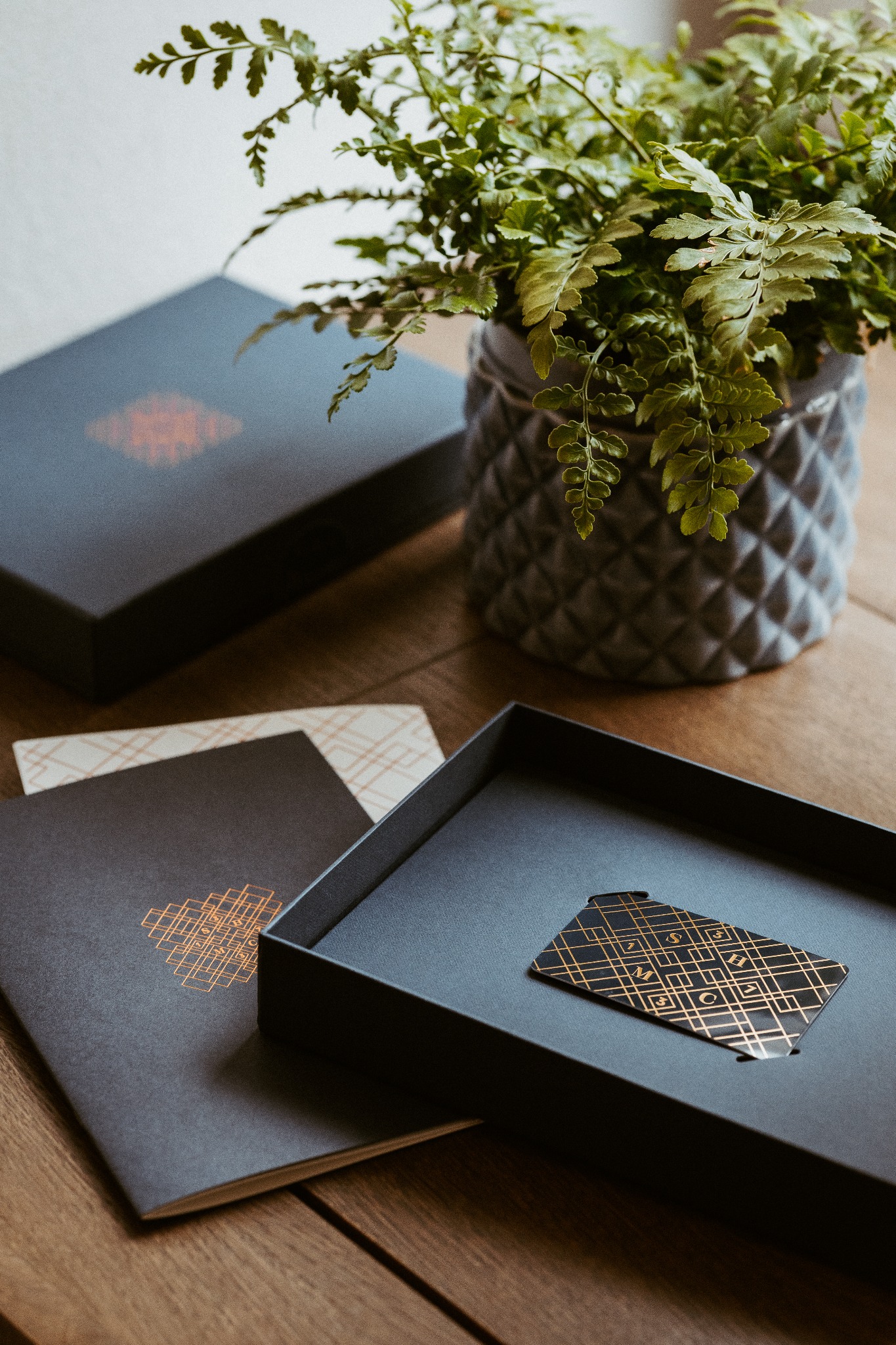 Zestaw materiałów firmowych: pudełka, notesy i karta z geometrycznym wzorem w kolorach czerni i złota, uzupełniony rośliną doniczkową na drewnianym stole.