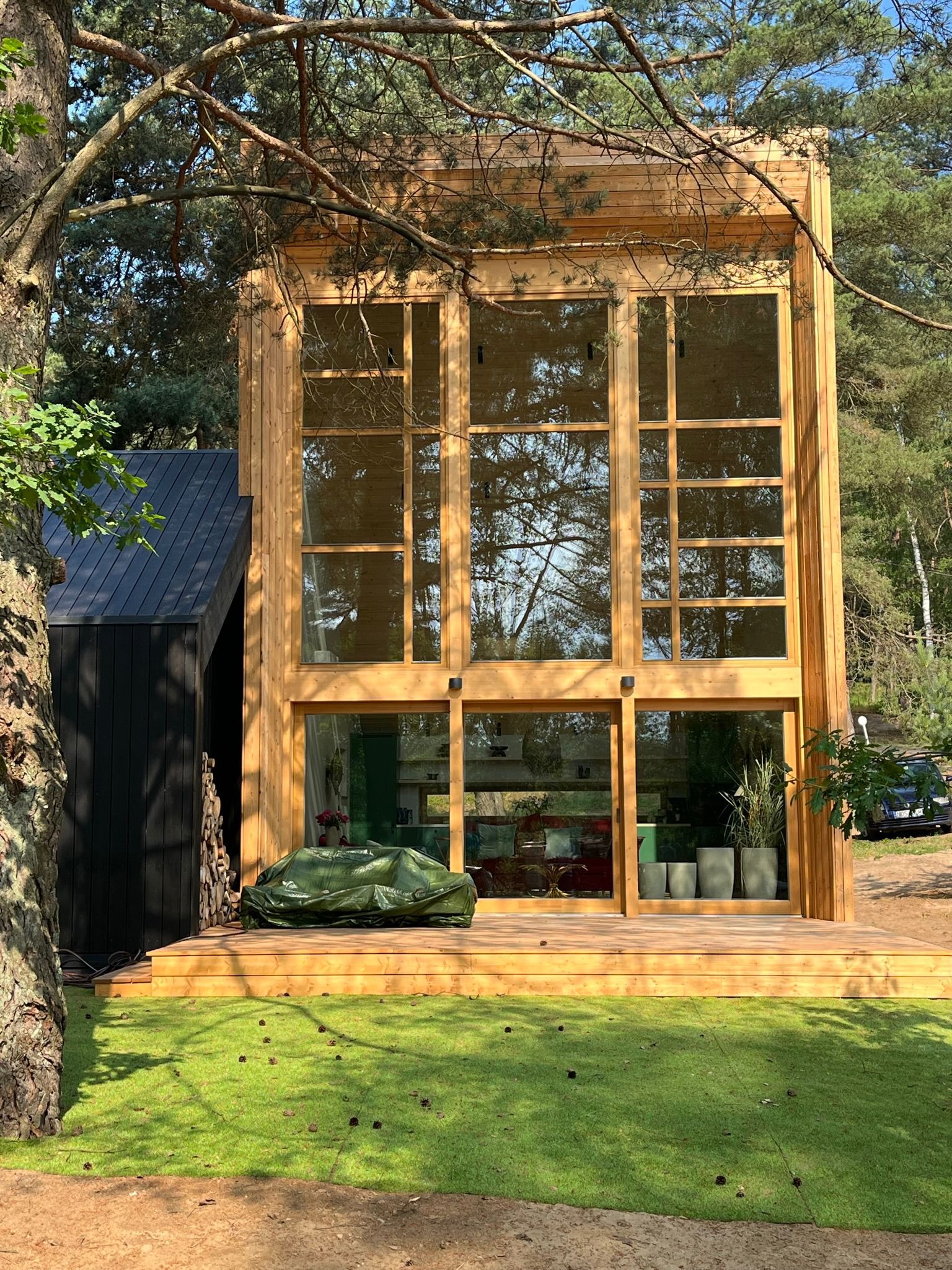 Nowoczesny dom z drewna z dużymi przeszkleniami, otoczony zielenią, z widocznym odbiciem drzew w oknach.