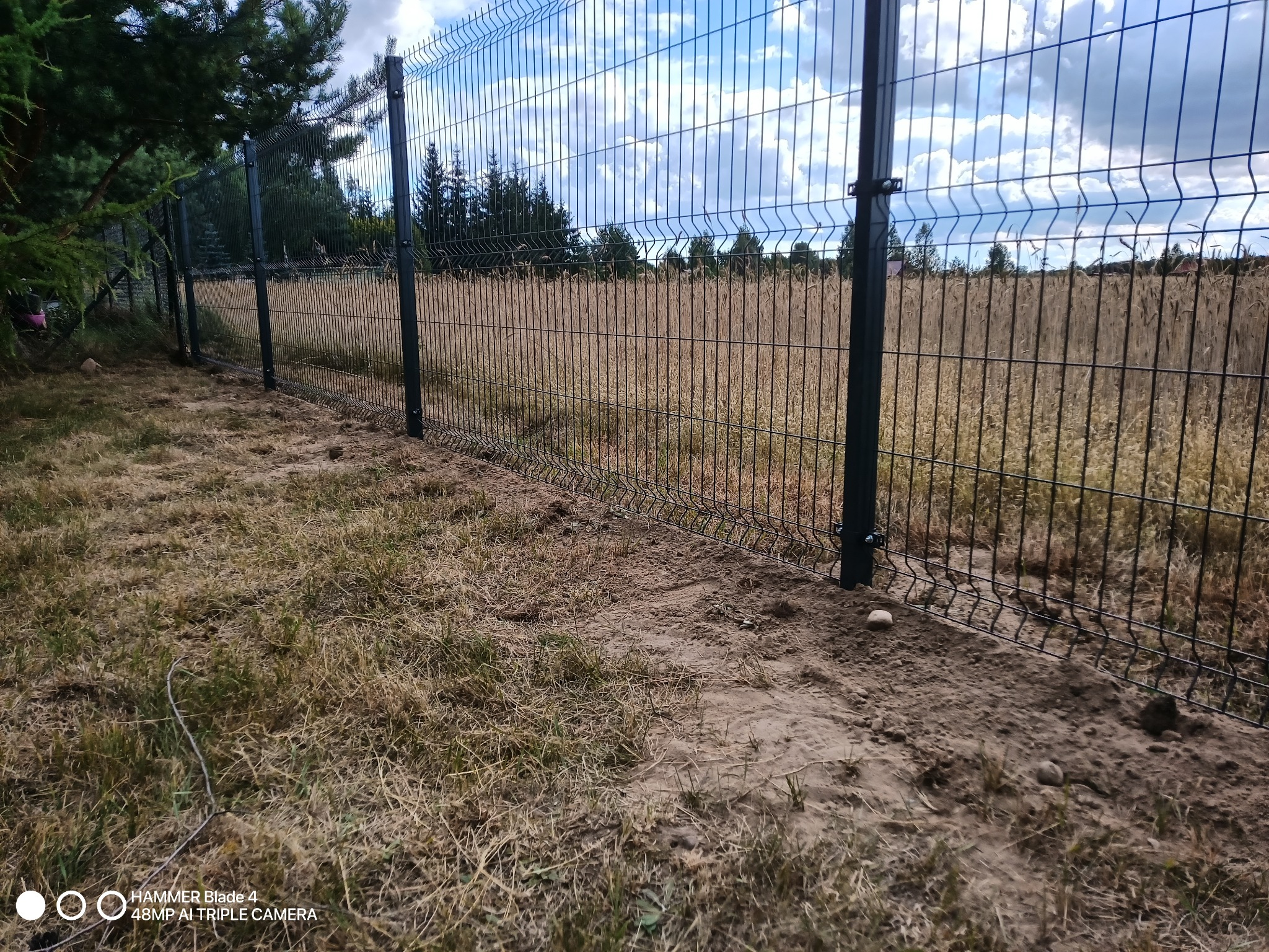 Nowo postawione, ciemnozielone ogrodzenie panelowe z widocznymi mocowaniami, oddzielające trawnik od pola z wyschniętą trawą, na tle błękitnego nieba z chmurami.
