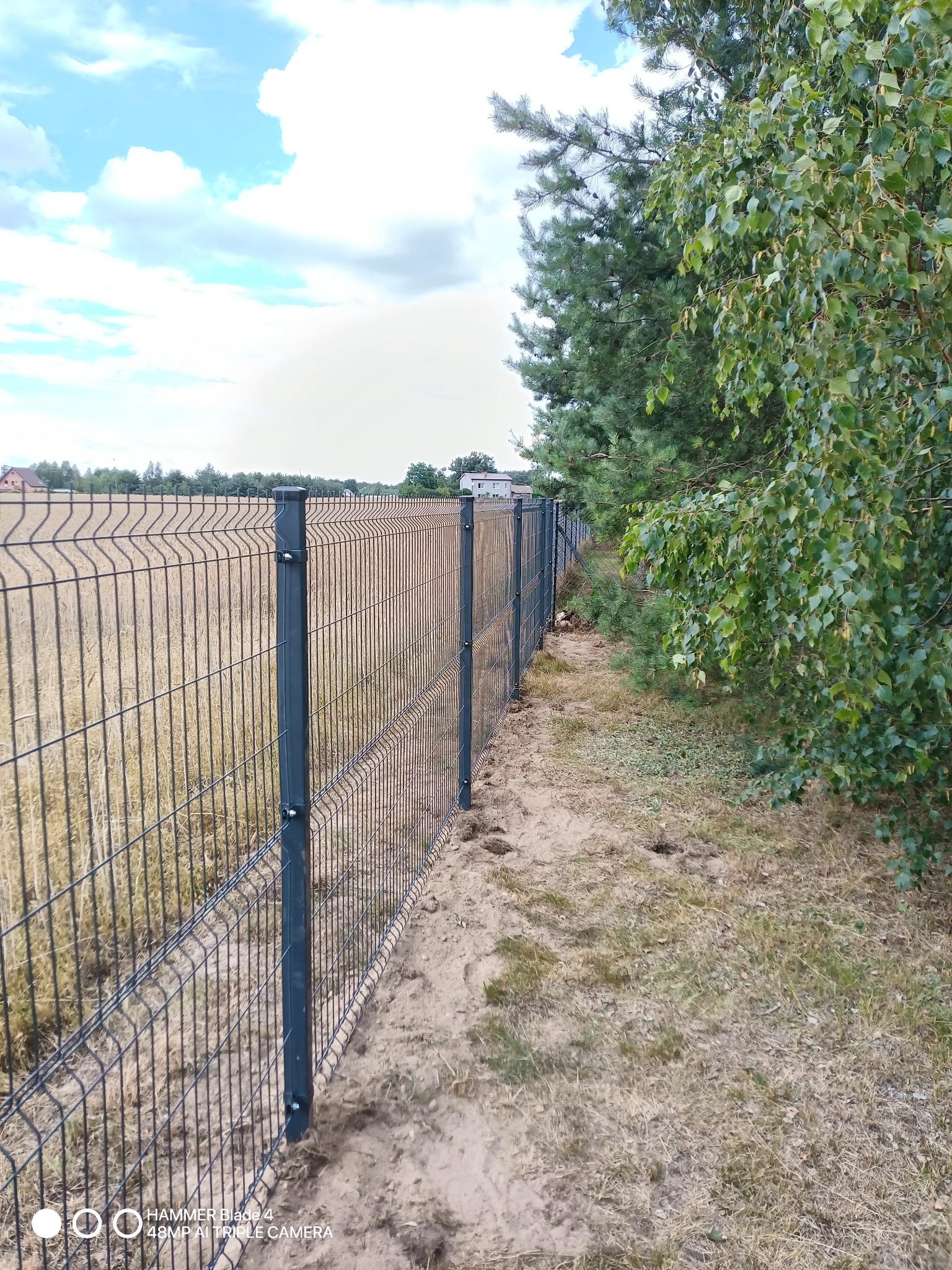 Metalowe ogrodzenie panelowe w kolorze antracytowym, oddzielające pole od posesji z drzewami, widoczne mocowania paneli do słupków.