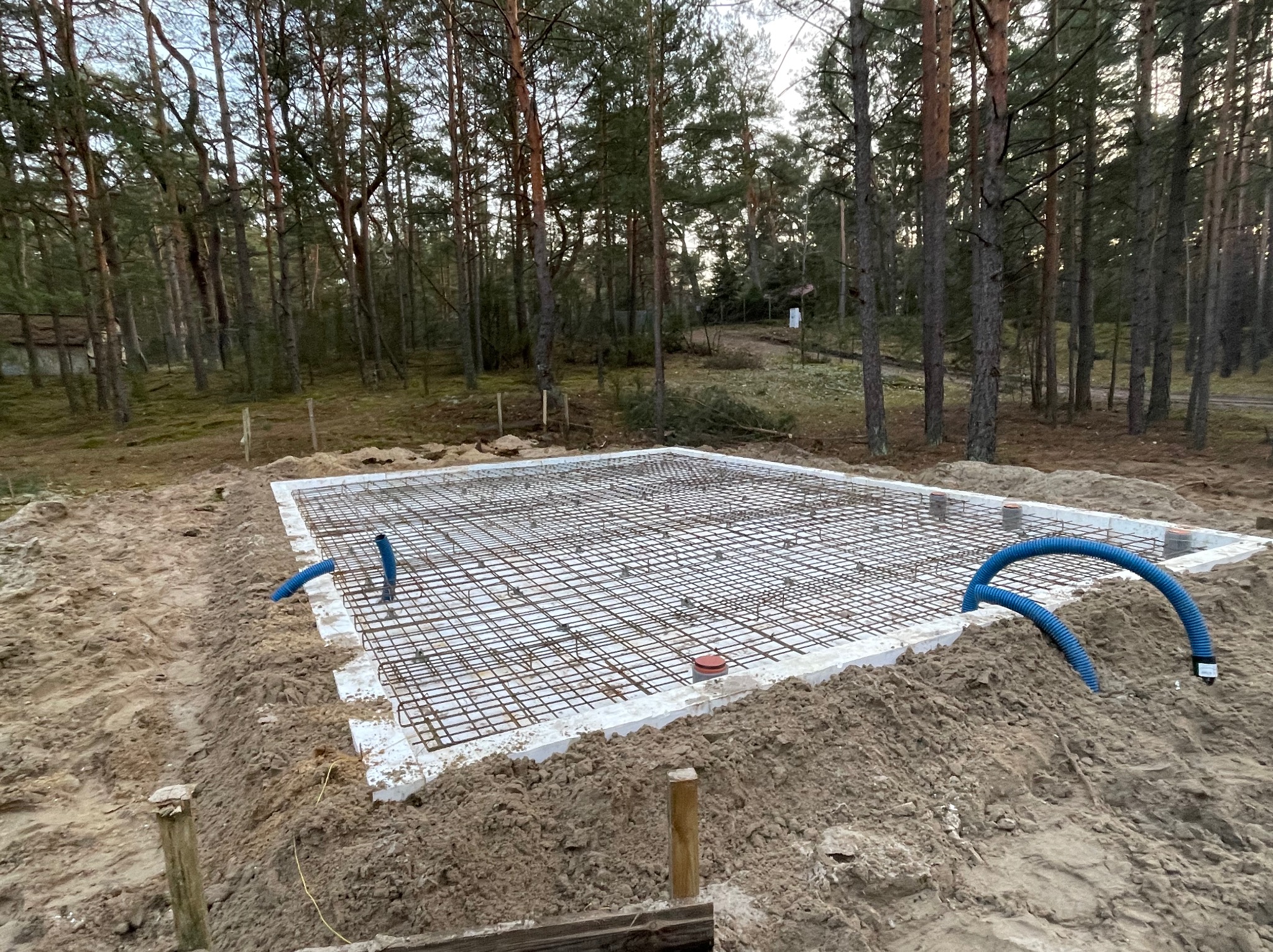 Przygotowanie zbrojenia płyty fundamentowej na białej izolacji w wykopie, widoczne niebieskie rury instalacyjne oraz otaczający las sosnowy.