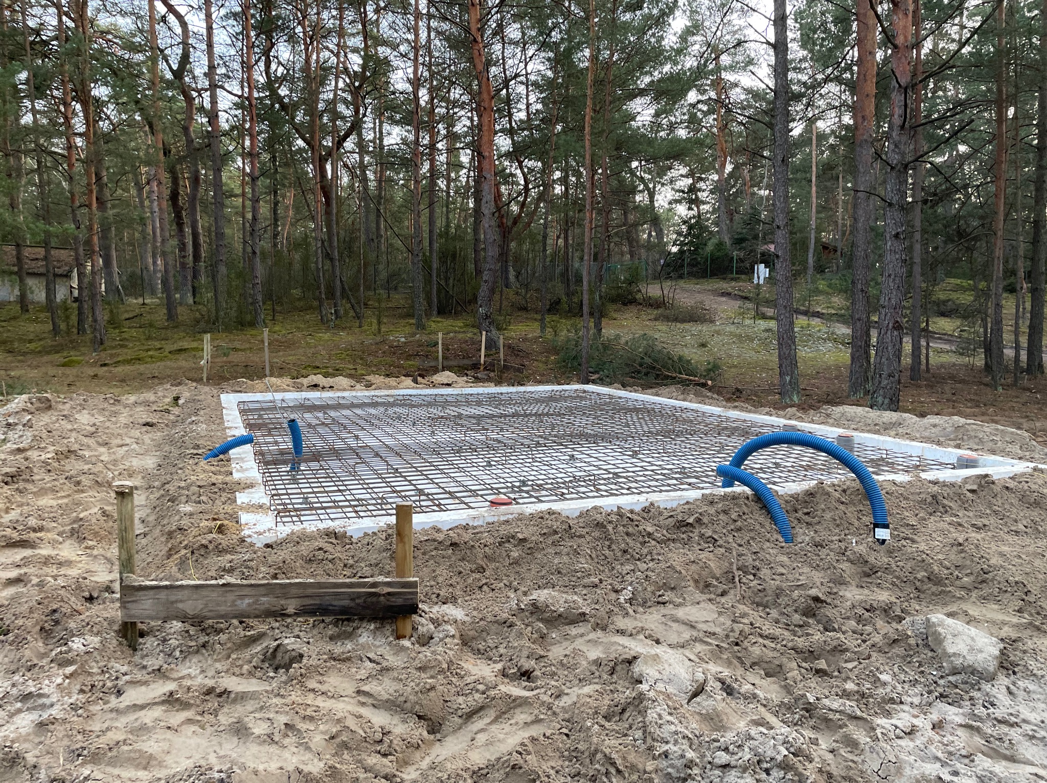 Przygotowanie zbrojenia pod płytę fundamentową na działce leśnej, widoczne niebieskie rury instalacyjne wystające z ziemi, szalunek i siatka zbrojeniowa.