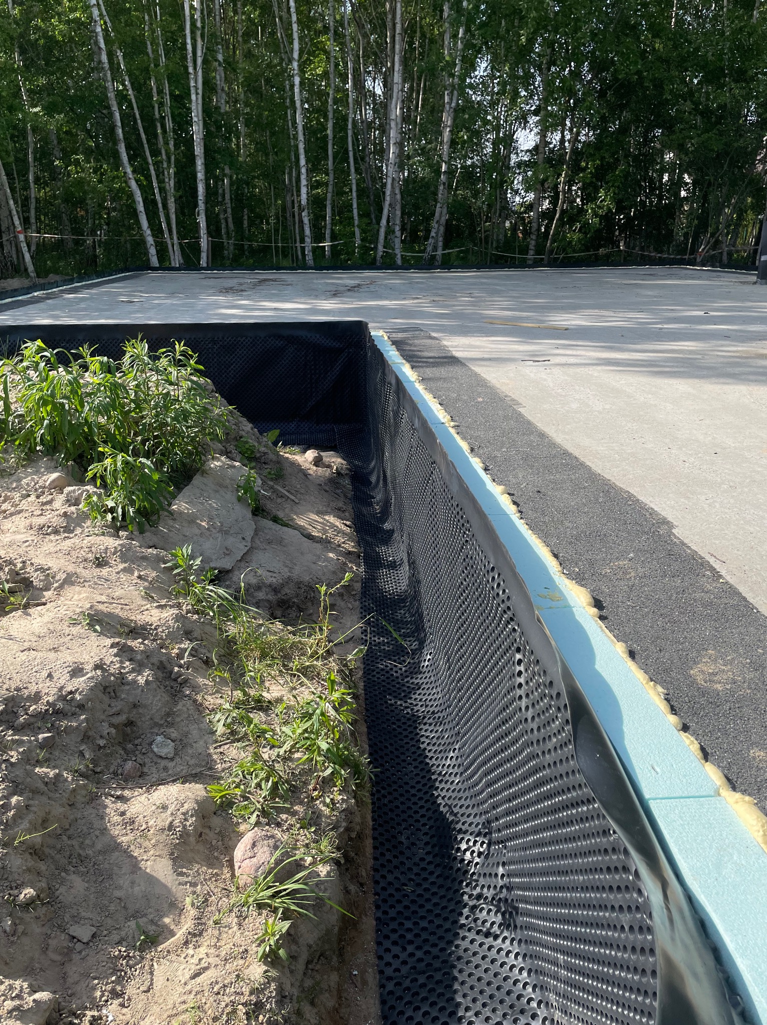 Betonowa płyta fundamentowa z izolacją pionową z folii kubełkowej i styropianu, widok z poziomu gruntu, zarośnięty wykop w tle.