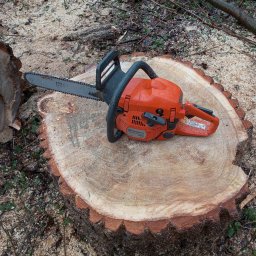 Wycinka drzew Węgierska Górka 4