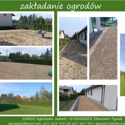 SORGO - Kompozycja zdjęć przedstawiająca etapy tworzenia ogrodu: przygotowanie podłoża, rozkładanie trawy z rolki, wykończenie rabat żwirem, widok finalny z zielonym trawnikiem i roślinnością.