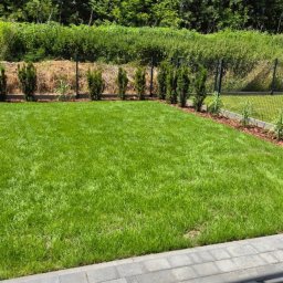 Projektowanie ogrodów Rzeszów 4