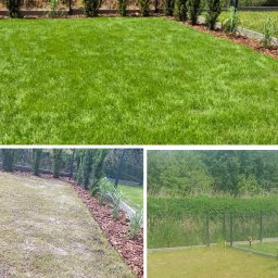 Regeneracja trawnika, zagospodarowanie terenu
Ogród 50m2