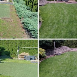 Wymiana trawnika - trawnik z rolki