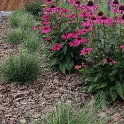 Projektowanie ogrodów Rzeszów 1