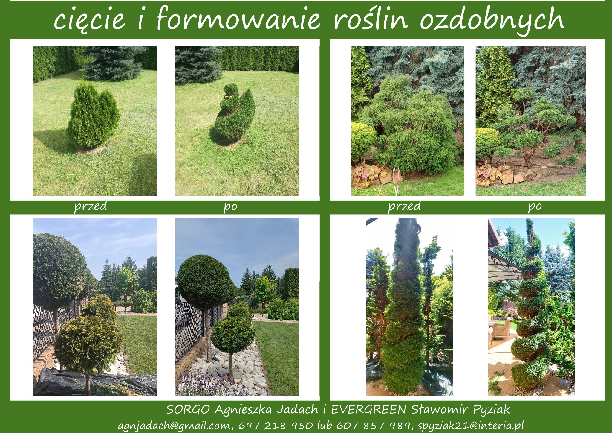 Kolaż zdjęć 'przed' i 'po' formowania roślin ozdobnych: tuje przycięte w kształt kuli, łabędzia, spirali i bonsai, ukazujące efekt finalny.