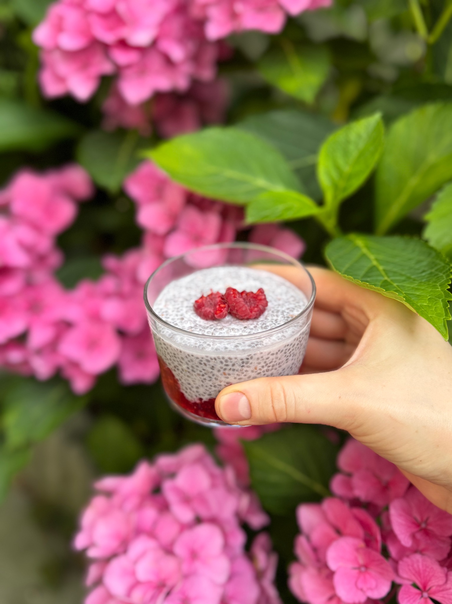 Deser chia z malinami w szklance, trzymany w dłoni na tle różowych hortensji. Zdjęcie z bliska, oświetlone naturalnym światłem, eksponuje teksturę deseru.