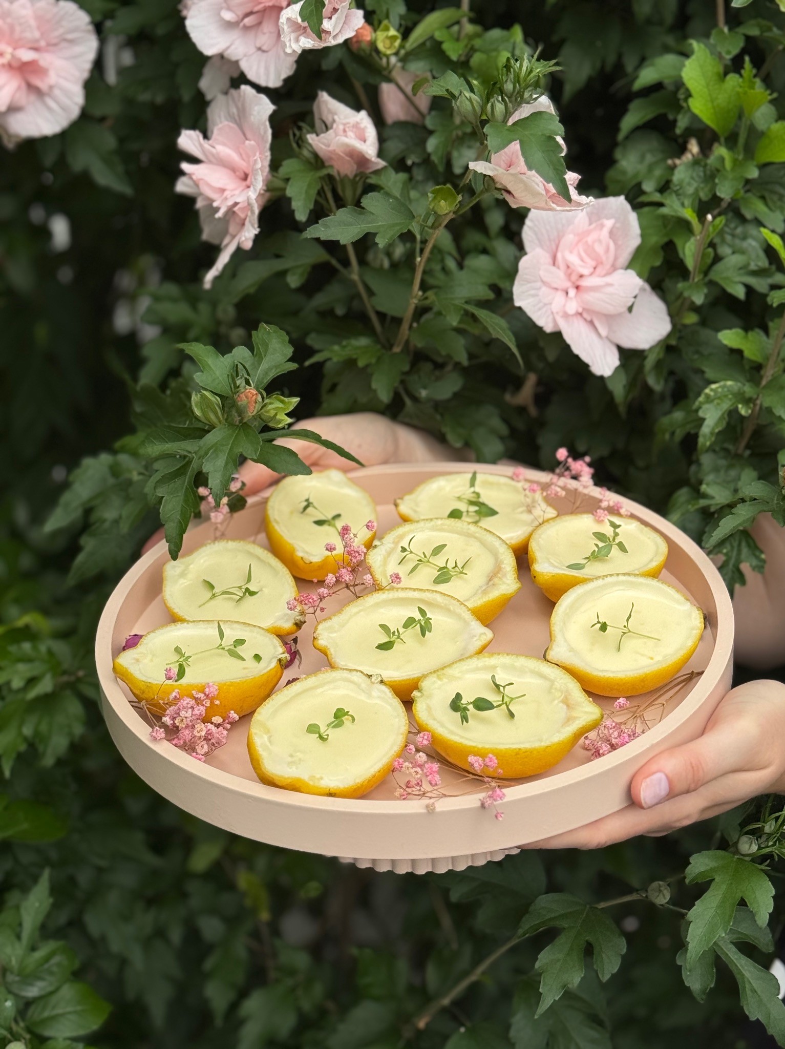 Cytrynowe desery na różowej tacy, udekorowane drobnymi kwiatkami i gałązkami ziół, prezentowane na tle kwitnącego krzewu hibiskusa.