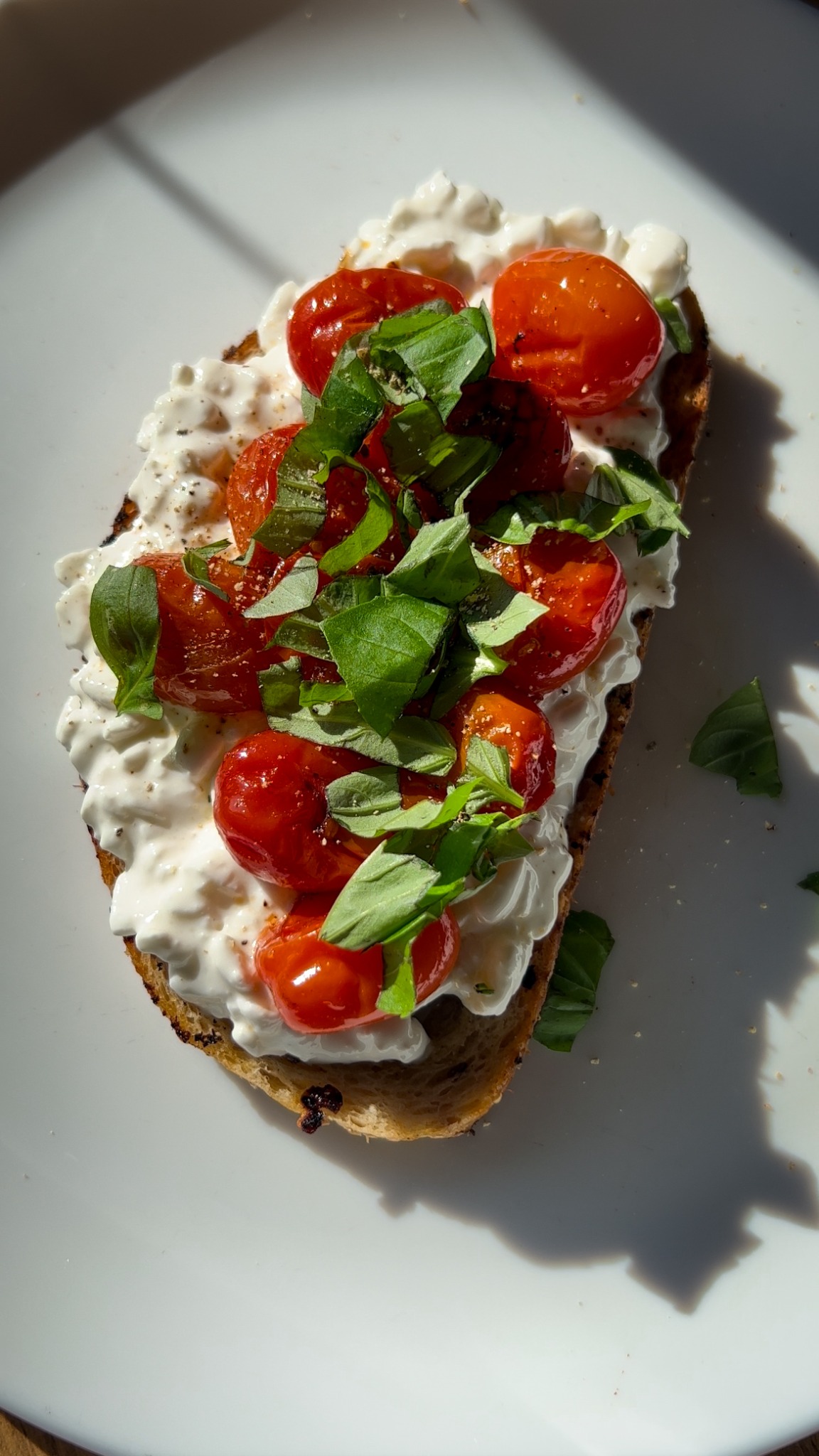 Kromka chleba z kremowym serem, pieczonymi pomidorkami cherry i świeżą bazylią na białym talerzu w naturalnym świetle.